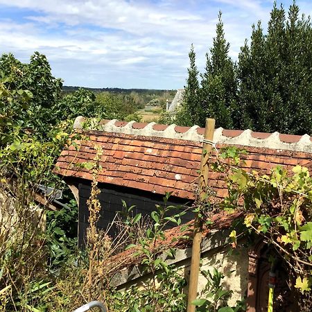 蒙卢索卢瓦尔La Maison Bleue De Husseau Ancienne Ferme Semi-Troglodytique 18E Siecle别墅 外观 照片
