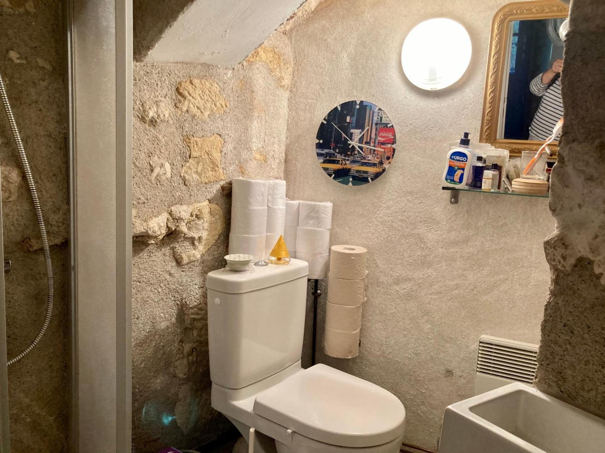蒙卢索卢瓦尔La Maison Bleue De Husseau Ancienne Ferme Semi-Troglodytique 18E Siecle别墅 外观 照片