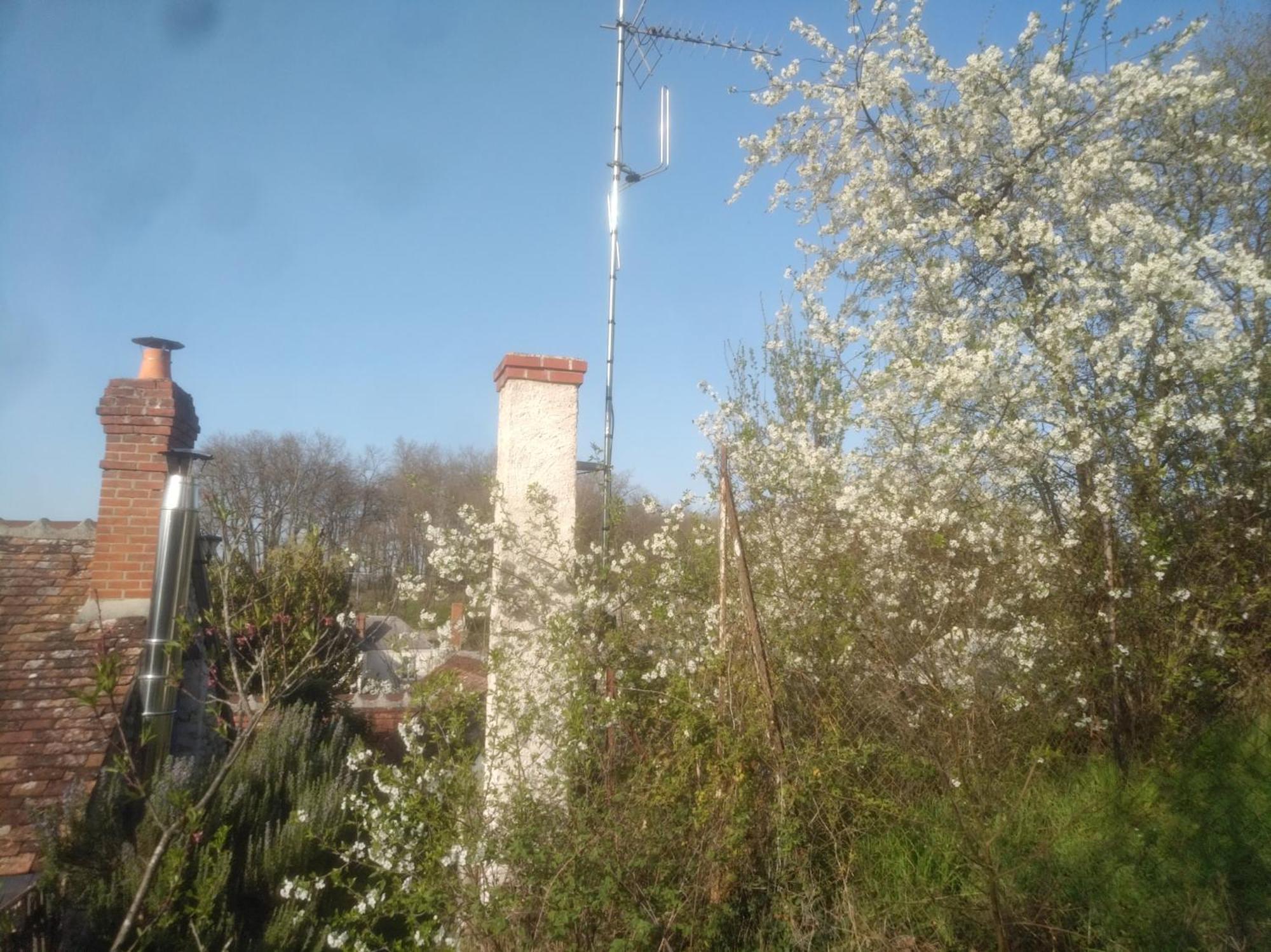 蒙卢索卢瓦尔La Maison Bleue De Husseau Ancienne Ferme Semi-Troglodytique 18E Siecle别墅 外观 照片